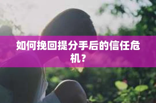 如何挽回提分手后的信任危机? 如何挽回提分手后的信任危机?