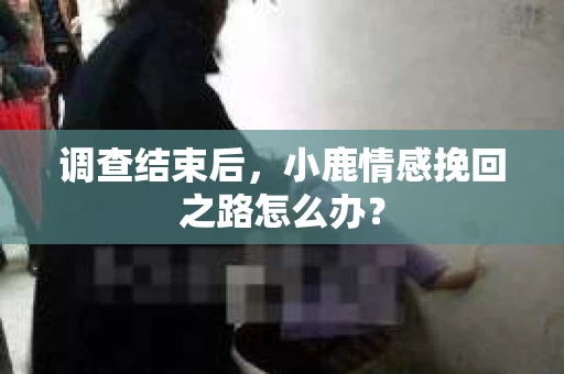 调查结束后,小鹿情感挽回之路怎么办? 调查结束后,小鹿情感挽回之路怎么办?