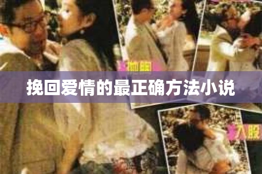 挽回爱情的最正确方法小说