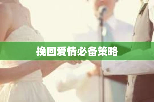 挽回爱情必备策略
