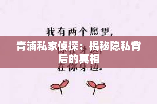 青浦私家侦探：揭秘隐私背后的真相