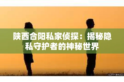 陕西合阳私家侦探：揭秘隐私守护者的神秘世界