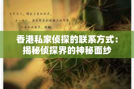香港私家侦探的联系方式：揭秘侦探界的神秘面纱