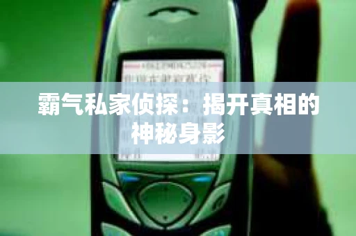 霸气私家侦探：揭开真相的神秘身影