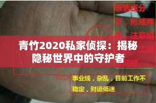 青竹2020私家侦探：揭秘隐秘世界中的守护者