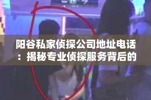 阳谷私家侦探公司地址电话：揭秘专业侦探服务背后的故事