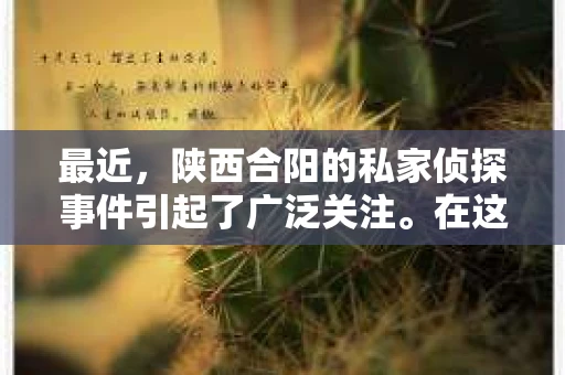 最近，陕西合阳的私家侦探事件引起了广泛关注。在这个信息爆炸的时代，隐私保护显得尤为重要。今天，我们就来聊聊这个事件，看看它背后的一些故事。