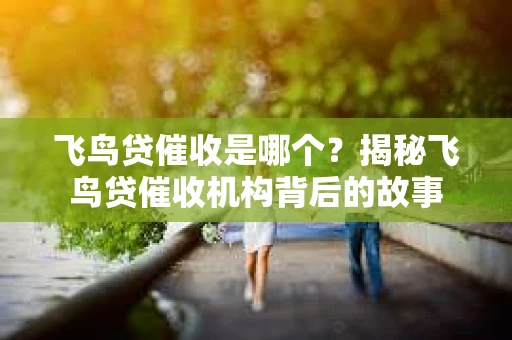 飞鸟贷催收是哪个？揭秘飞鸟贷催收机构背后的故事