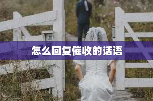 怎么回复催收的话语