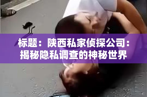 标题：陕西私家侦探公司：揭秘隐私调查的神秘世界