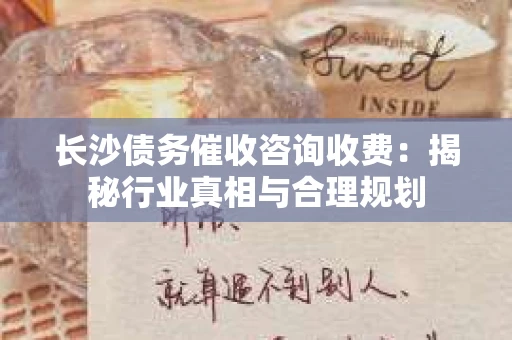 长沙债务催收咨询收费：揭秘行业真相与合理规划