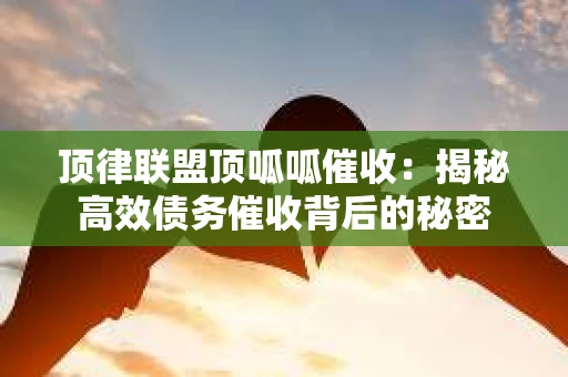 顶律联盟顶呱呱催收：揭秘高效债务催收背后的秘密