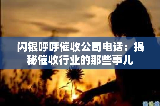 闪银呼呼催收公司电话：揭秘催收行业的那些事儿