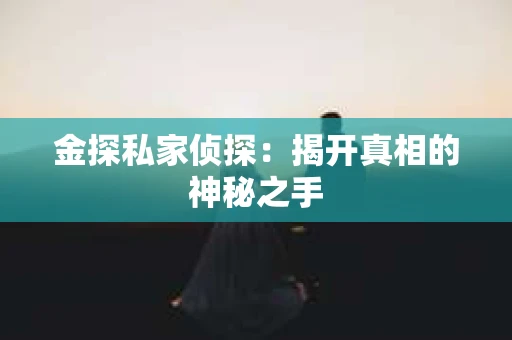 金探私家侦探:揭开真相的神秘之手 金探私家侦探:揭开真相的神秘之手