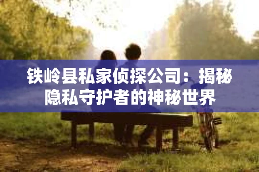 铁岭县私家侦探公司：揭秘隐私守护者的神秘世界