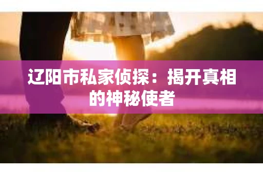 辽阳市私家侦探：揭开真相的神秘使者