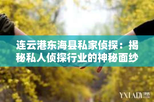 连云港东海县私家侦探:揭秘私人侦探行业的神秘面纱 连云港东海县私家侦探:揭秘私人侦探行业的神秘面纱