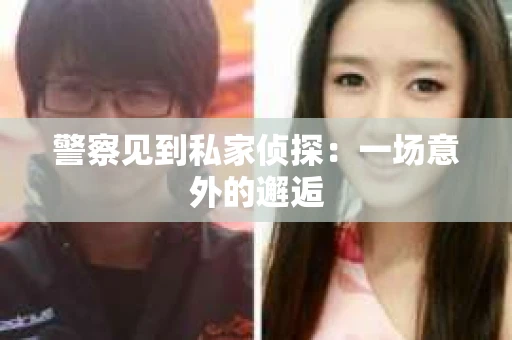警察见到私家侦探：一场意外的邂逅