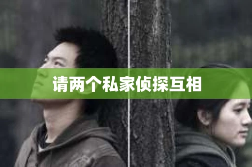 请两个私家侦探互相