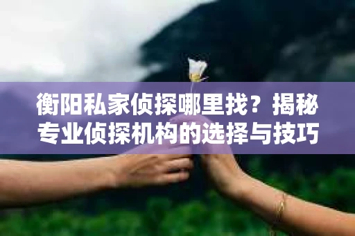 衡阳私家侦探哪里找？揭秘专业侦探机构的选择与技巧