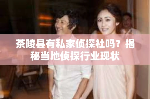 茶陵县有私家侦探社吗？揭秘当地侦探行业现状