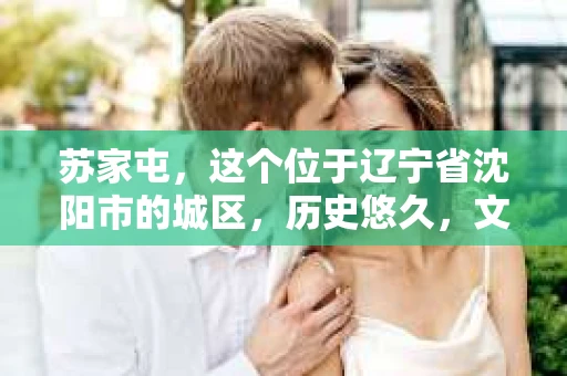 苏家屯，这个位于辽宁省沈阳市的城区，历史悠久，文化底蕴深厚。近年来，随着社会的发展，人们对于私家侦探的需求也逐渐增加。那么，苏家屯有私家侦探吗？今天，我们就来聊聊这个话题。