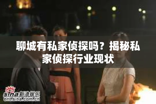 聊城有私家侦探吗？揭秘私家侦探行业现状