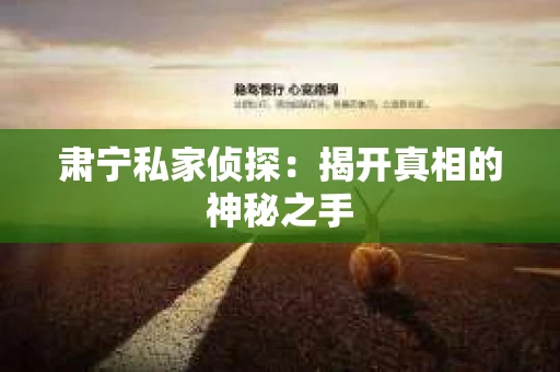 肃宁私家侦探：揭开真相的神秘之手