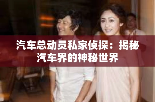 汽车总动员私家侦探：揭秘汽车界的神秘世界