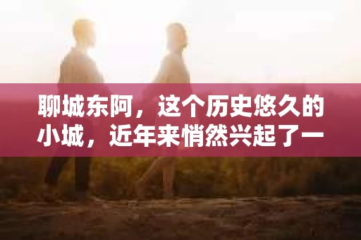 聊城东阿，这个历史悠久的小城，近年来悄然兴起了一股新的服务潮流——私家侦探。今天，我们就来聊聊这个话题，看看在聊城东阿，私家侦探是如何成为人们生活中的一部分的。