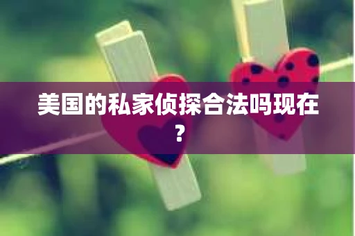 美国的私家侦探合法吗现在？