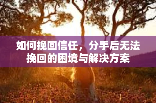 如何挽回信任，分手后无法挽回的困境与解决方案