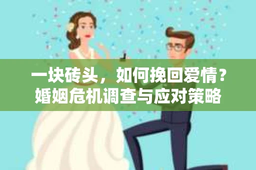 一块砖头，如何挽回爱情？婚姻危机调查与应对策略