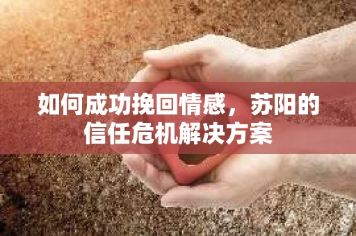如何成功挽回情感，苏阳的信任危机解决方案