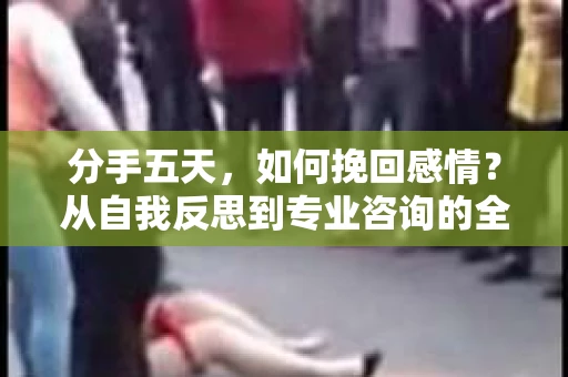 分手五天，如何挽回感情？从自我反思到专业咨询的全面解决方案