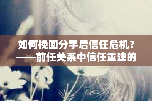 如何挽回分手后信任危机？——前任关系中信任重建的实用指南