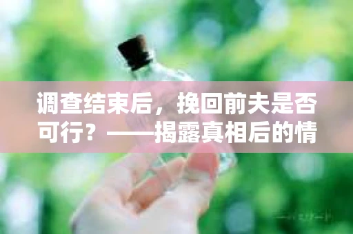 调查结束后，挽回前夫是否可行？——揭露真相后的情感疗愈与人生决策