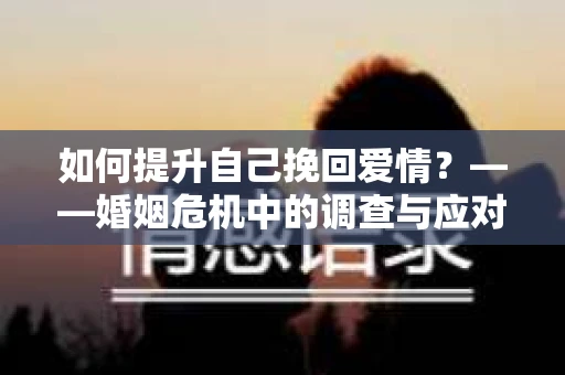 如何提升自己挽回爱情？——婚姻危机中的调查与应对策略