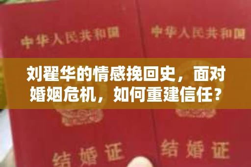 刘翟华的情感挽回史，面对婚姻危机，如何重建信任？