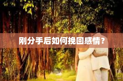刚分手后如何挽回感情？